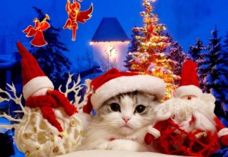 PRECIOUS HOLIDAY - glitters, kitty, costume, cat, santa, holidays, toys