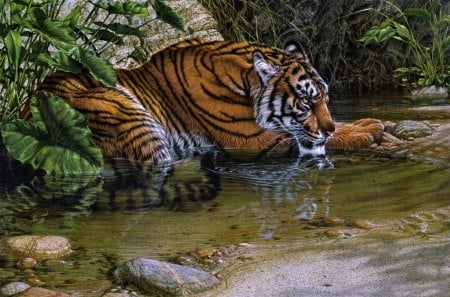 Tiger - animals, water, resting, plants, artwork, cats, jungle, animal, tiger, big cat