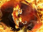 Flaming Tiger