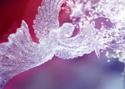 Angel - christmas, ice, decoration, clear, angel, ornament, crystal, glass