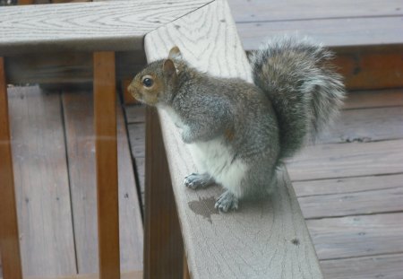 waiting for lunch