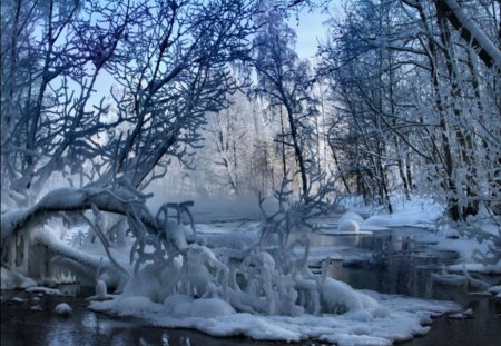 Winter Time - clouds, trees, winter, magic, splendor, snow, landscape, beauty, tree, white, winter time, nature, view, peaceful, sky