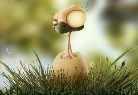 funny bird - bird, polluelo, egg, pajarillo