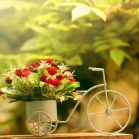 bike with flowers