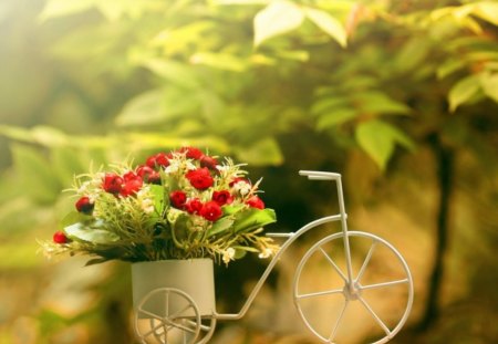 bike with flowers - nature, roses, bike, flower pot, flowers, still life