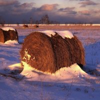 Sunset Light in a hayfield