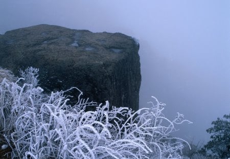 Iarna CEATA winter fog - ceata, fog, winter, iarna