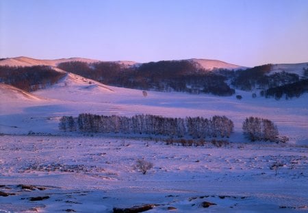 Dealuri inzapezite - field, winter, inzapezite, dealuri