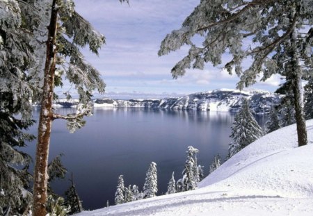 lake in winter - snow, lake, winter, tree