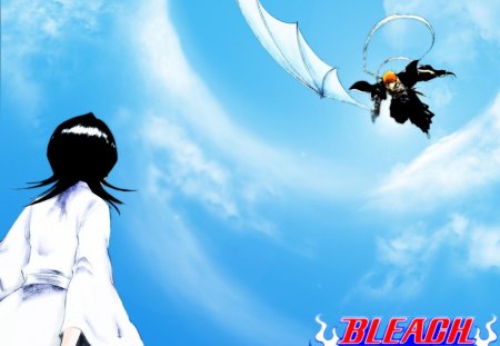 Ichigo's rescue attempt - anime, rukia kuchiki, ichigo, kurosaki ichigo, bleach, rukia, kuchiki rukia, ichigo kurosaki, sky