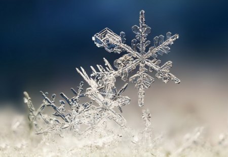 Snowflakes - beauty, sun, winter time, pretty, sunny, sunrays, winter sun, snowy, rays, snowflake, sunlight, winter, snowflakes, lovely, nature, beautiful, snow, winter splendor