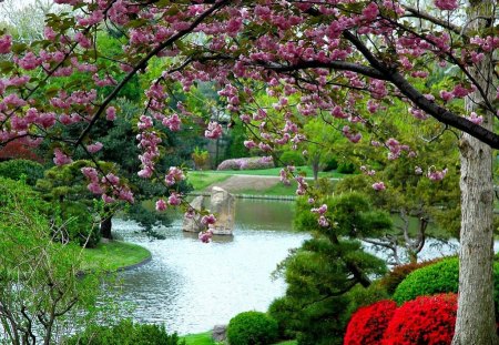 Beautiful Garden - picture, garden, cool, beautiful