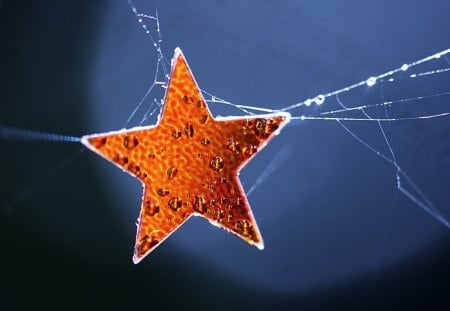 Winter Hope - star, winter, water, blue, snow, drops, orange, christmas, white, hiope, spiderweb