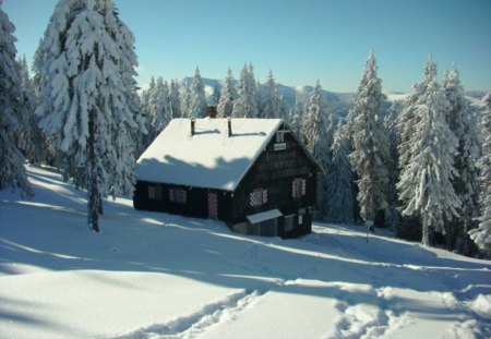 Cabana Prejba Muntii Lotrului - carpatii, din, romania, muntii