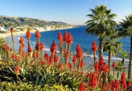 flowers and palms above a beautiful beach - beach, flowers, town, trees