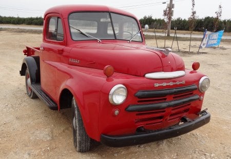 1949 Dodge Truck - 1949 truck, 1949 dodge truck, dodge truck, truck