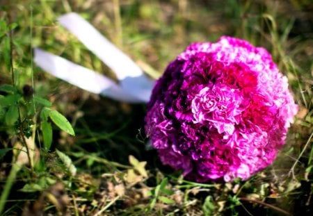 roses on the grass - red, roses, grass