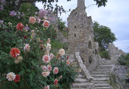 Greece - nature, beauty, flowers, greece