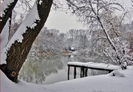 winter - winter, nature, lake, snow