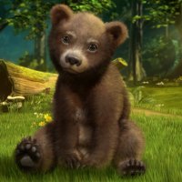 Bear Cub