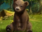 Bear Cub