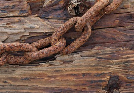 Chain - the tree, boards, cell, chain