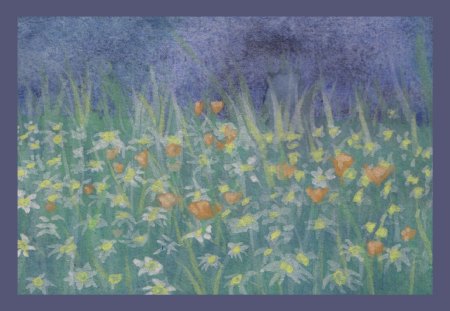 Field of Daisies - painting, art, watercolor, field, flowers, daisies, spring