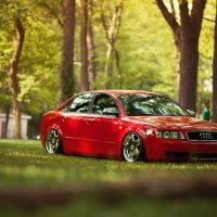 audi under trees