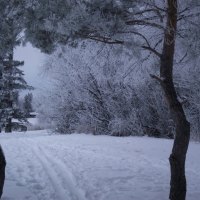 Hoar frost snow covered path