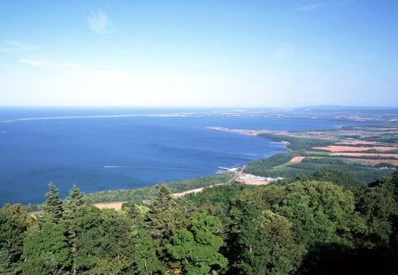 countryside and coastal - countryside, tree, coastal, sea