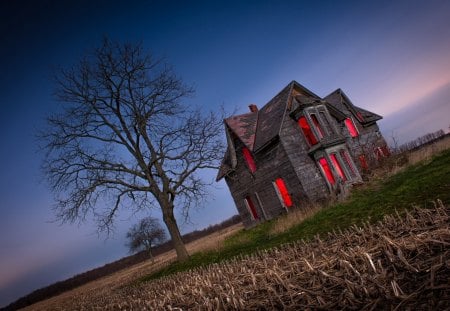 old farmhouse in the countryside - farmhouse, countryside, tree, old