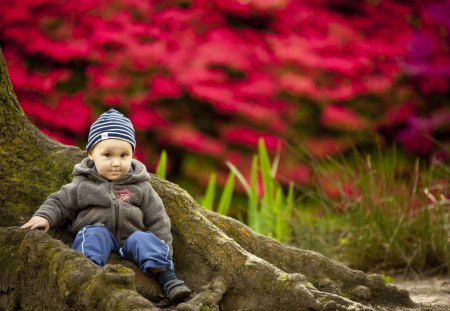 *** The boy on the roots of trees *** - boy, people, roots, tree, child