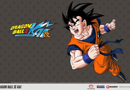 Dragonball Z - dragonball, anime, fighting, hd wallpaper