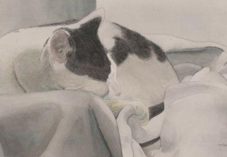 Sleepy Kitty - watercolor, kitten, feline, sleepy, painting, art, cat, kitty