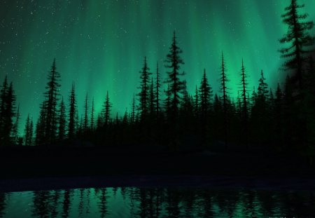 Aurora borealis ( Northern lights) - borealis, forest, aurora, northern, siberia, lights