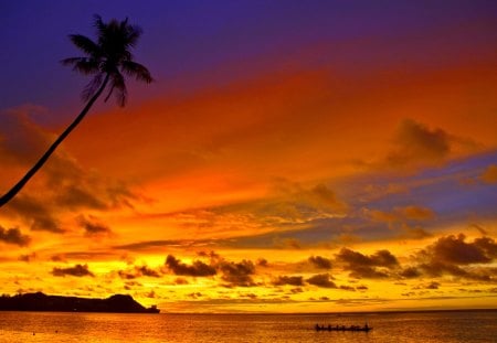 TROPICAL SUNSET - sky, palm, canoe, sunset, sea