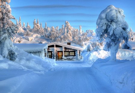 Scandinavian winter - snowy, road, beautiful, village, cottage, cabin, christmas, deep, tree, nature, new year, path, pretty, sky, scandinavia, holiday, nice, clouds, north, lovely, house, snow