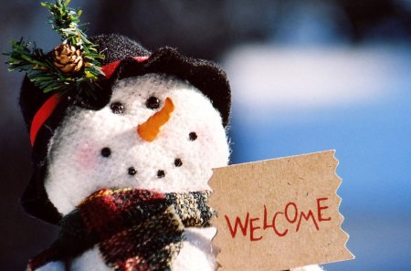 Welcoming snowman - pretty, snowman, winter, beautiful, snow, lovely, joy, christmas, smile, holiday, welcome, new year, funny, welcoming, nice, smiling