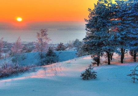 ღ.Romance Sunset in Winter.ღ - attractions in dreams, scenery, creative pre-made, snow, frosty, holidays, light, sunsets, forests, landscapes, winter holidays, sky, trees, winter, beautiful, photography, colors, lovely, xmas and new year, christmas, frozen, white trees, love four seasons