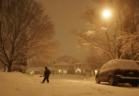 winter night - snow, night, winter, lights