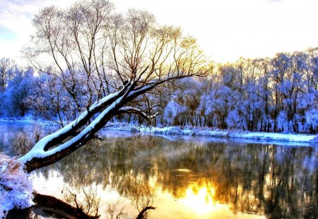 'Stunning Lake in Winter' - attractions in dreams, scenery, creative pre-made, dry trees, snow, stunning, forests, view, trees, winter, beautiful, photography, colors, lovely, xmas and new year, frozen, nature, white trees, lakes, love four seasons