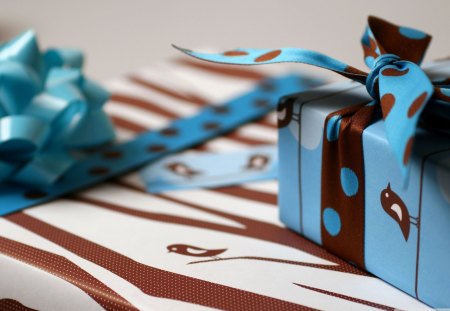 Blue Present - white, blue, brown, cute, present, gift, sweet