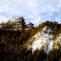 mountain forest temple in japan