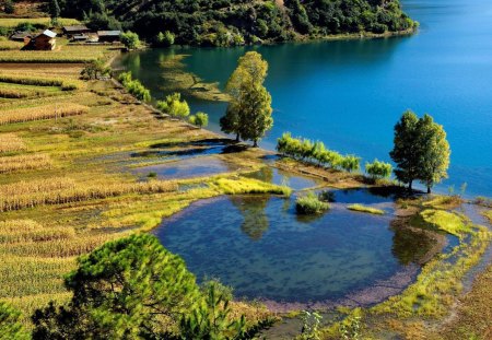 farms by a lake shore - lake, pond, farms, fields