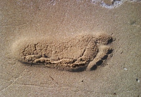 step in the sand :) - step, foot, beach, sea, sand