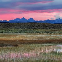 beautiful colorful swamp landscape