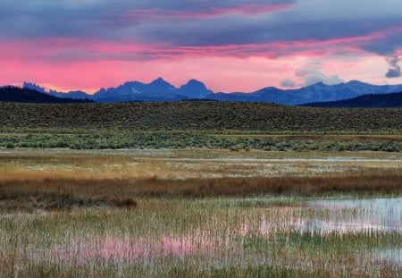 beautiful colorful swamp landscape - sky, clouds, mountains, swamp, grass