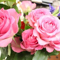 à¹‘â™¥à¹‘ Sweet freshness à¹‘â™¥à¹‘