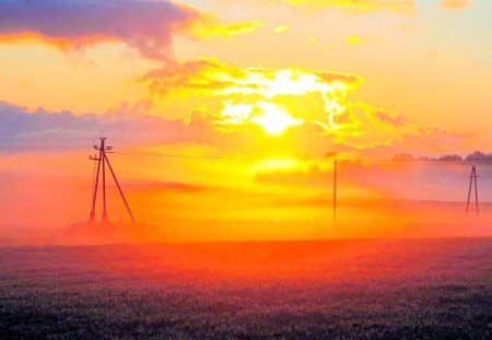 through the mist - sky, clouds, poles, fields, mist, sun