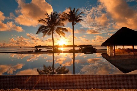 pool reflections in the tropics - reflections, poll, tropics, palms, sunset